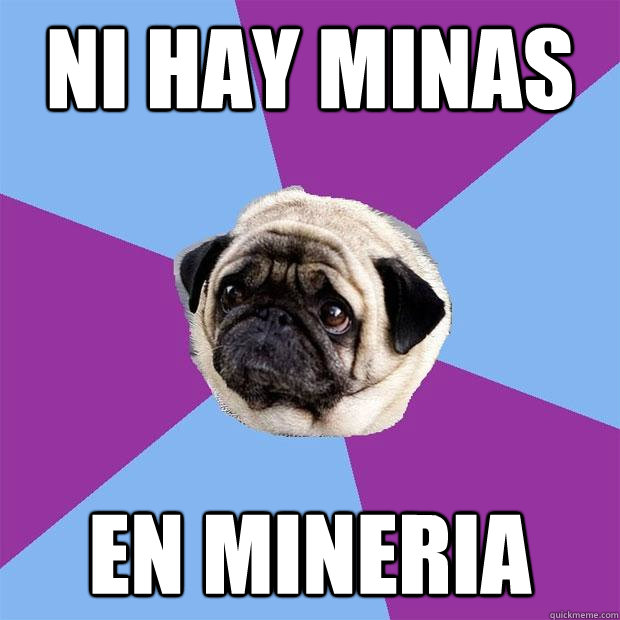 NI HAY MINAS EN MINERIA  Lonely Pug