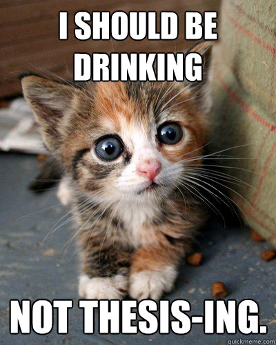 I SHOULD BE DRINKING NOT THESIS-ING.  Thesis Kitten