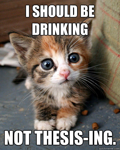 I SHOULD BE DRINKING NOT THESIS-ING. - I SHOULD BE DRINKING NOT THESIS-ING.  Thesis Kitten