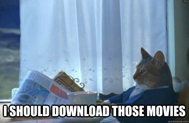 I should download those movies  Sophisticated Cat