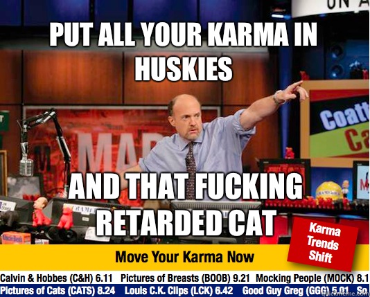 Put all your Karma in Huskies And that fucking retarded cat  Mad Karma with Jim Cramer