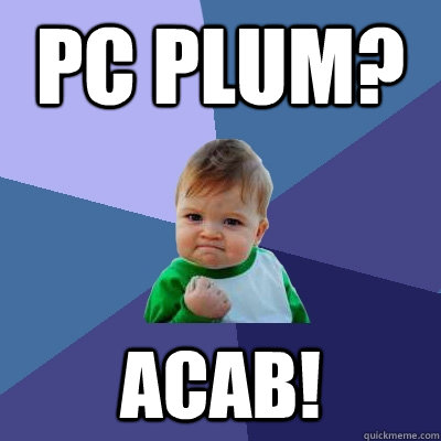 PC PLUM? ACAB!  Success Kid