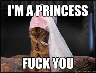 i'm a princess fuck you  Im a Princess