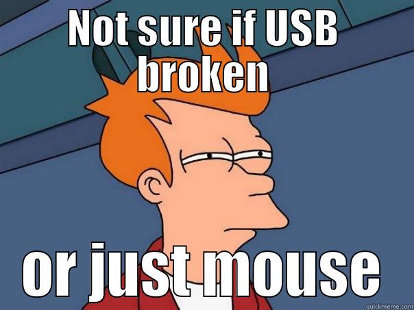 NOT SURE IF USB BROKEN OR JUST MOUSE Futurama Fry