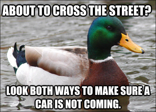 About to cross the street? Look both ways to make sure a car is not coming.   Actual Advice Mallard