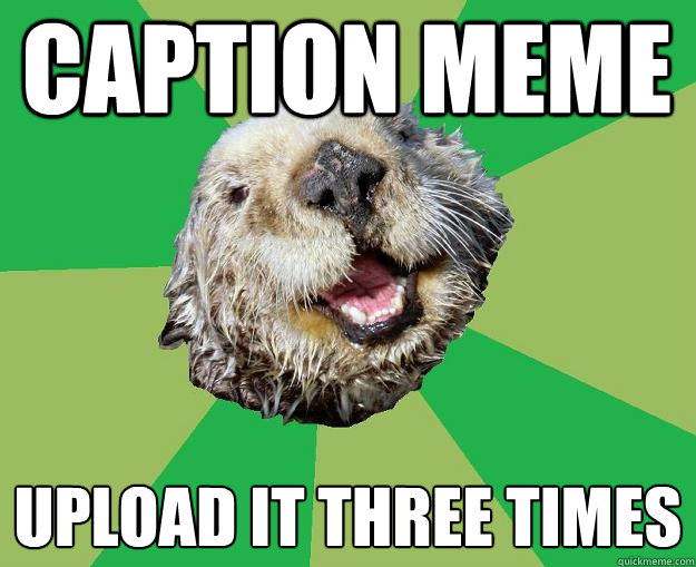 CAPTION MEME UPLOAD IT THREE TIMES  OCD Otter