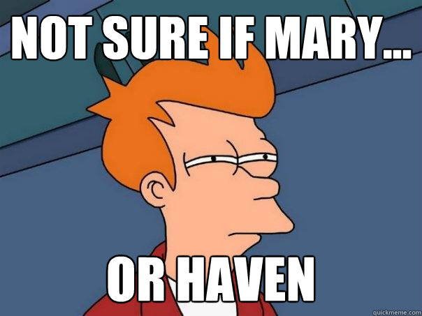 NOT SURE IF MARY... OR HAVEN  Futurama Fry