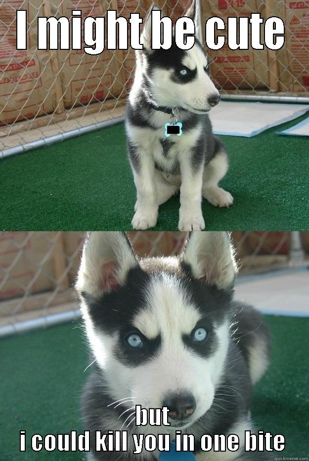 I MIGHT BE CUTE BUT I COULD KILL YOU IN ONE BITE Insanity puppy