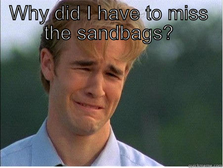 WHY DID I HAVE TO MISS THE SANDBAGS?  1990s Problems