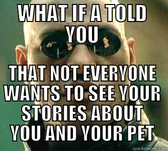 WHAT IF A TOLD YOU THAT NOT EVERYONE WANTS TO SEE YOUR STORIES ABOUT YOU AND YOUR PET Matrix Morpheus