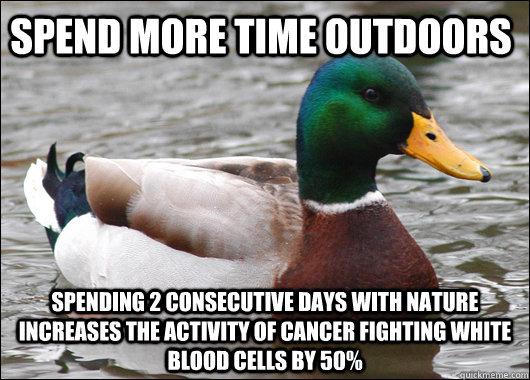 spend more time outdoors spending 2 consecutive days with nature increases the activity of cancer fighting white blood cells by 50%  Actual Advice Mallard