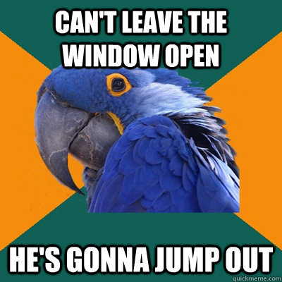 Can't leave the window open He's gonna jump out  Paranoid Parrot