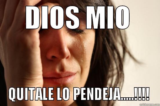 DIOS MIO QUITALE LO PENDEJA.....!!!! First World Problems