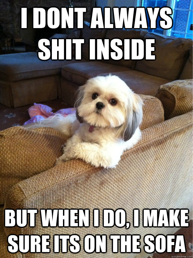 i dont always shit inside but when i do, i make sure its on the sofa  