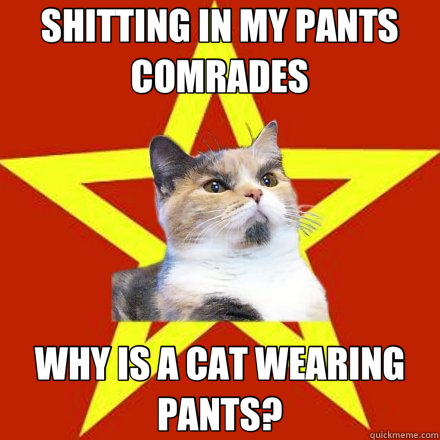 SHITTING IN MY PANTS COMRADES WHY IS A CAT WEARING PANTS?  Lenin Cat