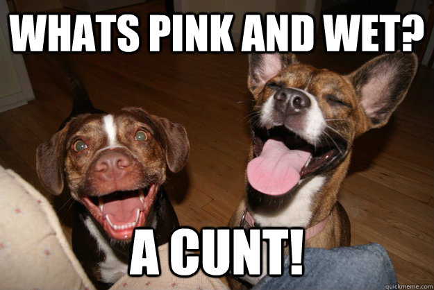 whats pink and wet? a cunt! - whats pink and wet? a cunt!  Clean Joke Puppies