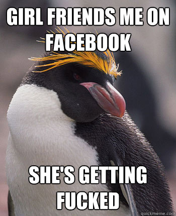 Girl friends me on facebook she's getting fucked  Socially Overconfident Penguin