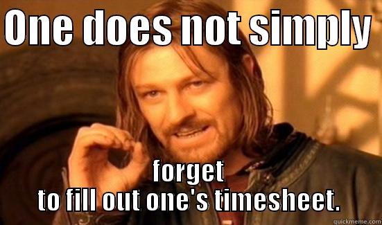 ONE DOES NOT SIMPLY  FORGET TO FILL OUT ONE'S TIMESHEET. Boromir