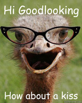 Hi Goodlooking How about a kiss  Judgmental Bookseller Ostrich