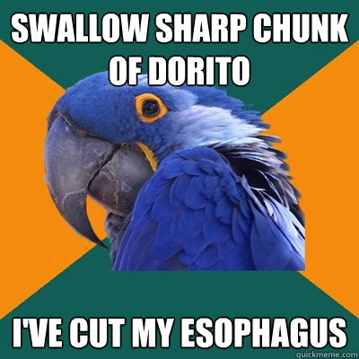 Swallow sharp chunk of dorito I've cut my esophagus  Paranoid Parrot