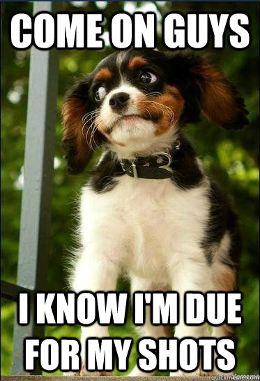 Come on guys I know I'm due for my shots  Suspicious Puppy