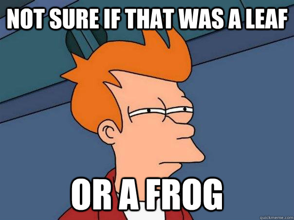 Not sure if that was a leaf Or a frog - Not sure if that was a leaf Or a frog  Futurama Fry