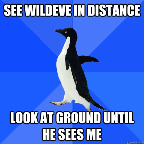 see wildeve in distance look at ground until he sees me  Socially Awkward Penguin