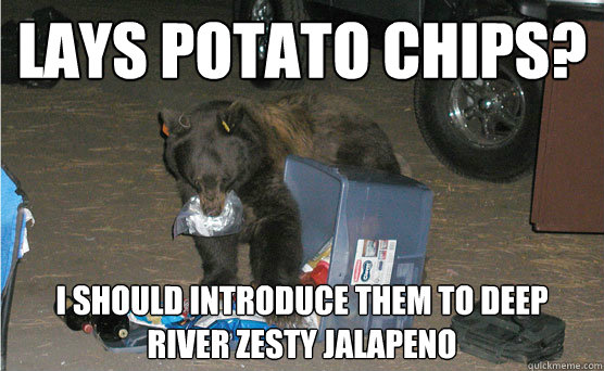 lays potato chips? i should introduce them to deep river zesty jalapeno  Food Snob Bear