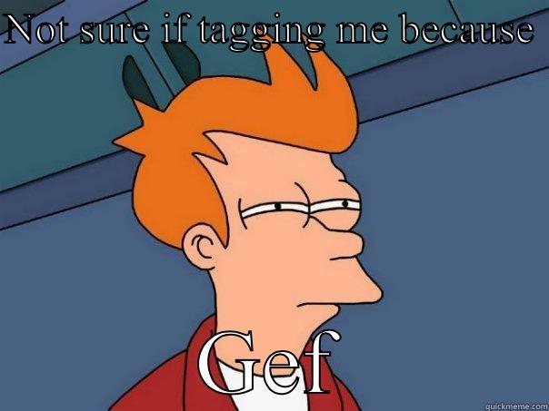 NOT SURE IF TAGGING ME BECAUSE  GEF Futurama Fry
