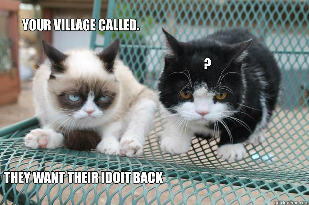 your village called. they want their idoit back ? - your village called. they want their idoit back ?  Grumpy Cat Apprentice