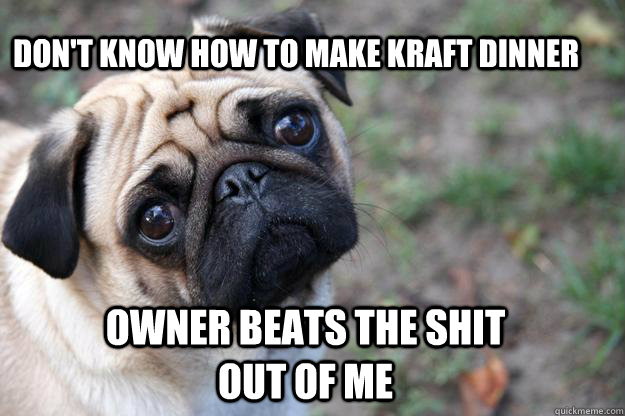 Don't know how to make Kraft Dinner Owner beats the shit out of me  First World Dog problems