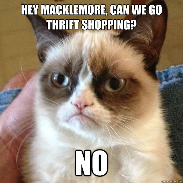 hey macklemore, can we go thrift shopping? no - hey macklemore, can we go thrift shopping? no  Reddits Angry Cat