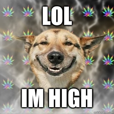 Lol Im high  Stoner Dog