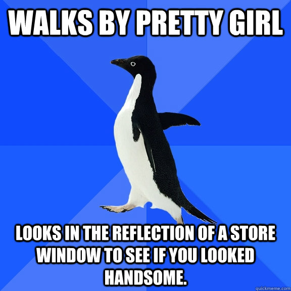 Walks by pretty girl Looks in the reflection of a store window to see if you looked handsome.  Socially Awkward Penguin