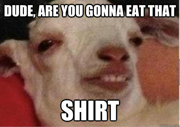 DUDE, ARE YOU GONNA EAT THAT SHIRT  