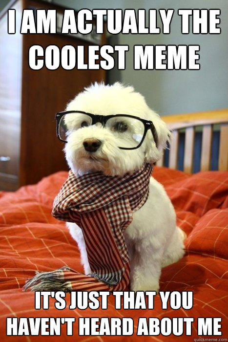 I AM ACTUALLY THE COOLEST MEME It's Just that you haven't heard about me - I AM ACTUALLY THE COOLEST MEME It's Just that you haven't heard about me  Hipster Dog