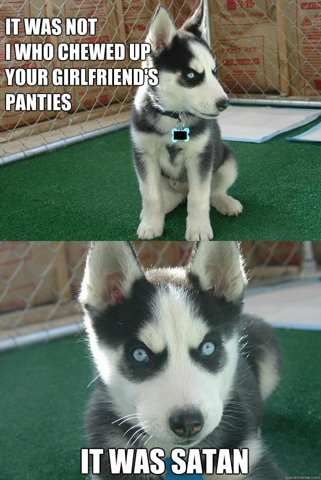 it was not
i who chewed up 
your girlfriend's 
panties it was satan  Insanity puppy