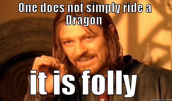 ONE DOES NOT SIMPLY RIDE A DRAGON  IT IS FOLLY Boromir