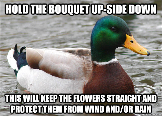 Hold the bouquet up-side down  this will keep the flowers straight and protect them from wind and/or rain - Hold the bouquet up-side down  this will keep the flowers straight and protect them from wind and/or rain  Actual Advice Mallard