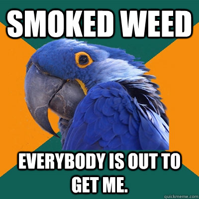 Smoked weed everybody is out to get me.  Paranoid Parrot