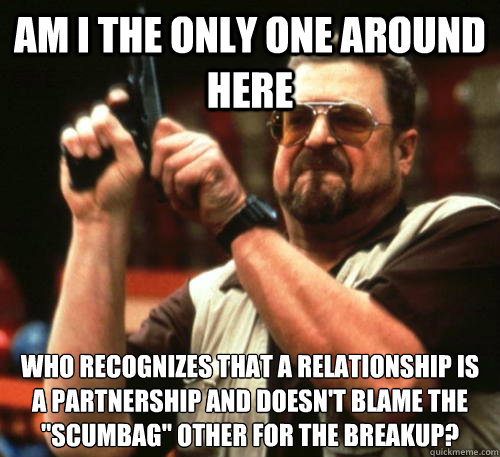 Am i the only one around here Who recognizes that a relationship is a partnership and doesn't blame the 