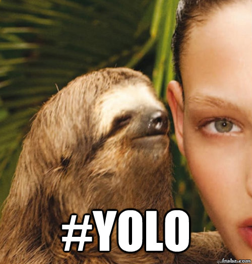  #yolo  rape sloth