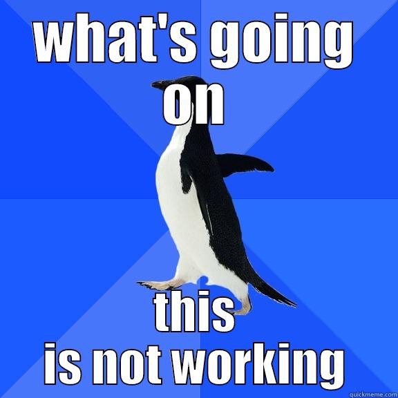 WHAT'S GOING ON THIS IS NOT WORKING Socially Awkward Penguin