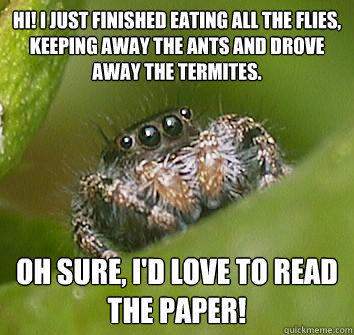 Hi! I just finished eating all the flies, keeping away the ants and drove away the termites. Oh sure, I'd love to read the paper!  Misunderstood Spider