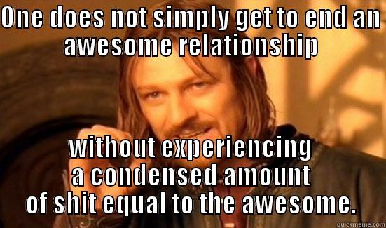 ONE DOES NOT SIMPLY GET TO END AN AWESOME RELATIONSHIP WITHOUT EXPERIENCING A CONDENSED AMOUNT OF SHIT EQUAL TO THE AWESOME. Boromir