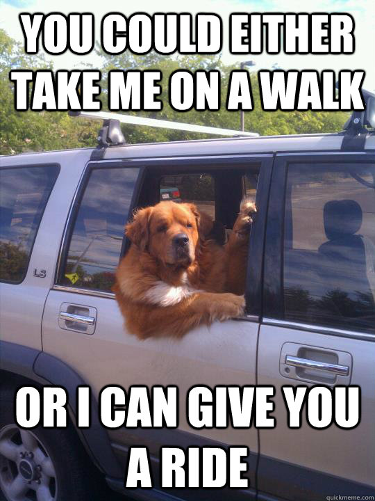 You could either take me on a walk Or i can give you a ride - You could either take me on a walk Or i can give you a ride  Misc