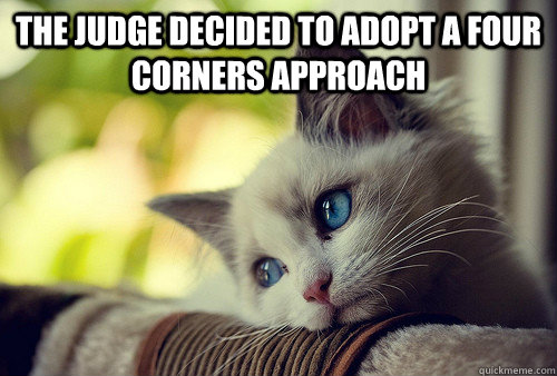 THE JUDGE DECIDED TO ADOPT A FOUR CORNERS APPROACH   First World Problems Cat