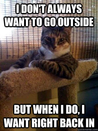 I don't always want to go outside but when I do, I want right back in  The Most Interesting Cat in the World