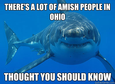 There's a lot of Amish people in ohio Thought you should know  