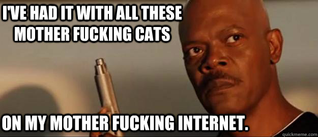 I've had it with all these mother fucking cats On my mother fucking internet.  Snakes on a Plane Sammy Jackson